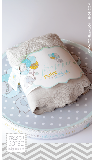 Trusou botez cu elefantei si baloane de aer cald, Grey Baby Elephant  9